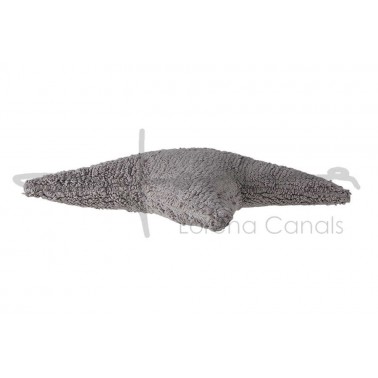 Cojin Lavable Estrella Gris Claro Lorena Canals