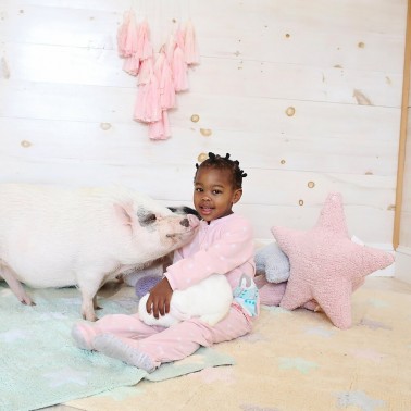 Cojin Lavable Estrella Rosa Lorena Canals